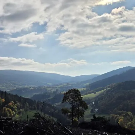 Apartamento Les Volets Bleus Sainte-Marie-aux-Mines